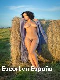 Pollas travestis en 